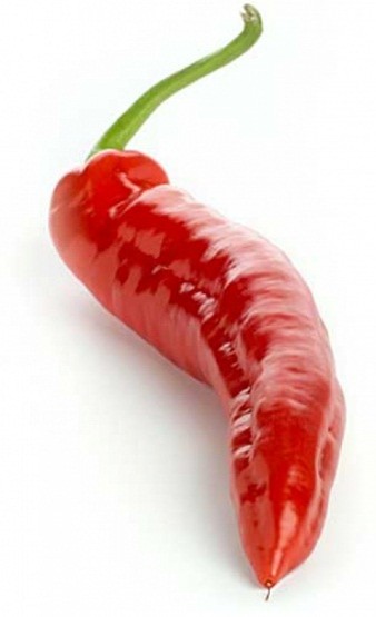 img-peperoncino
